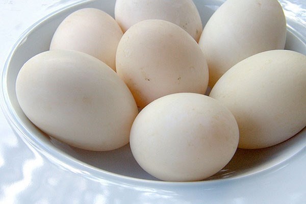Trứng vịt - luộc trứng vịt bao lâu thì chín